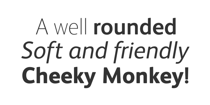 FS Albert Font free download preview 2 – Sans Serif Fonts font
