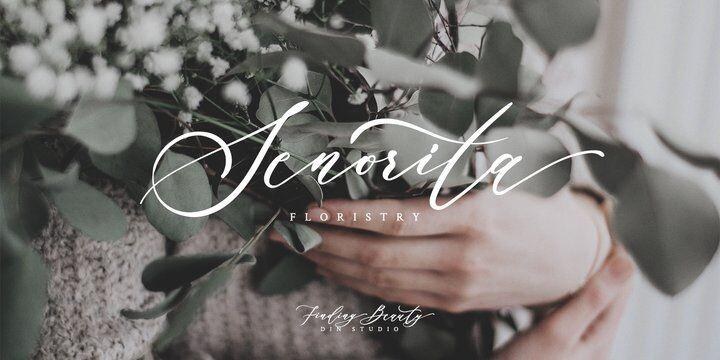 Finding Beauty Font free download preview 8 – Script And Handwritten font