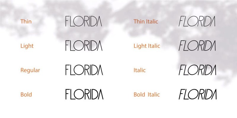 Florida Rose Font free download preview 9 – Display Fonts font