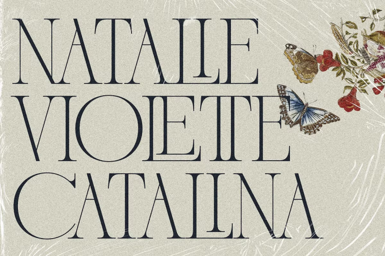 French Voyager Font free download preview 3 – Serif Fonts font