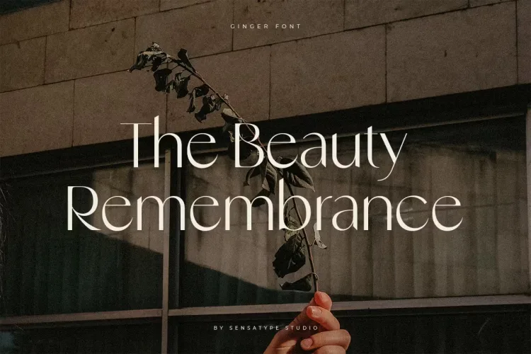 Ginger Font preview 5 – Serif Fonts font sample