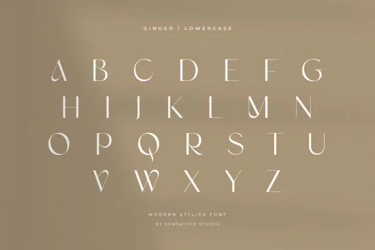 Ginger Font preview 6 – Serif Fonts font sample