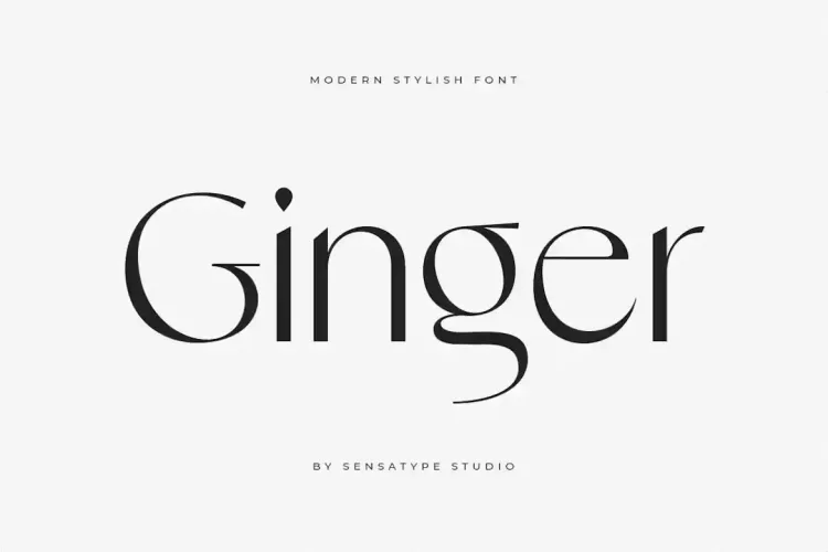 Ginger Font preview 8 – Serif Fonts font sample