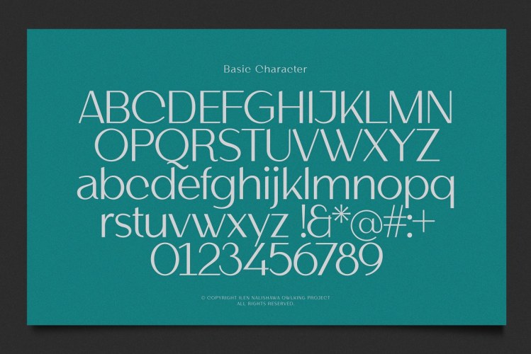 Helnore Font free download preview 4 – Serif Fonts font