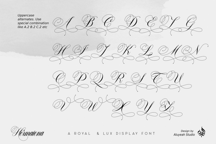 Hermaiona Font free download preview 5 – Calligraphy Fonts font