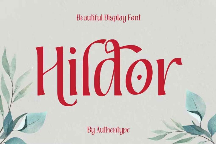 Hildor Beautiful Display Font free download preview 3 – Serif Fonts font