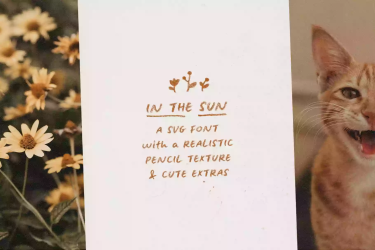 In The Sun Handwritten SVG Font free download – Packaging font preview