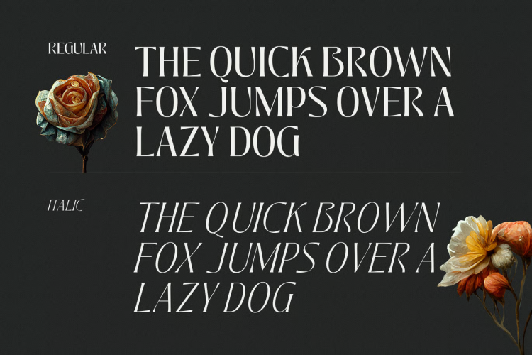 Jedira Font free download preview 2 – Serif Fonts font