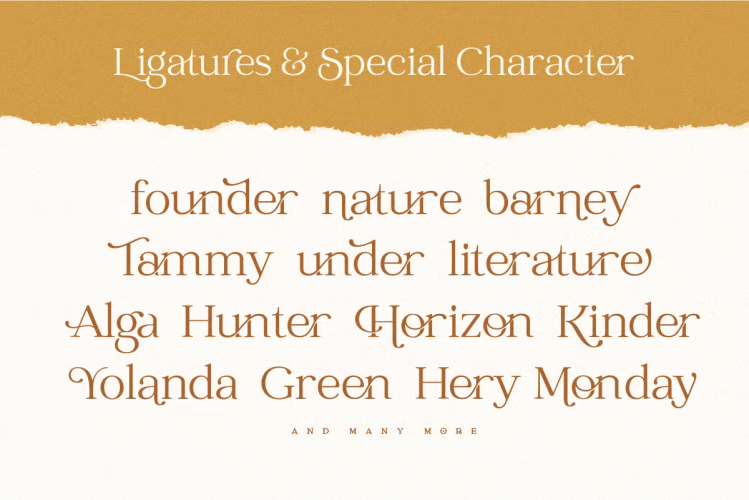John Mayer Font free download preview 6 – Decorative Fonts font