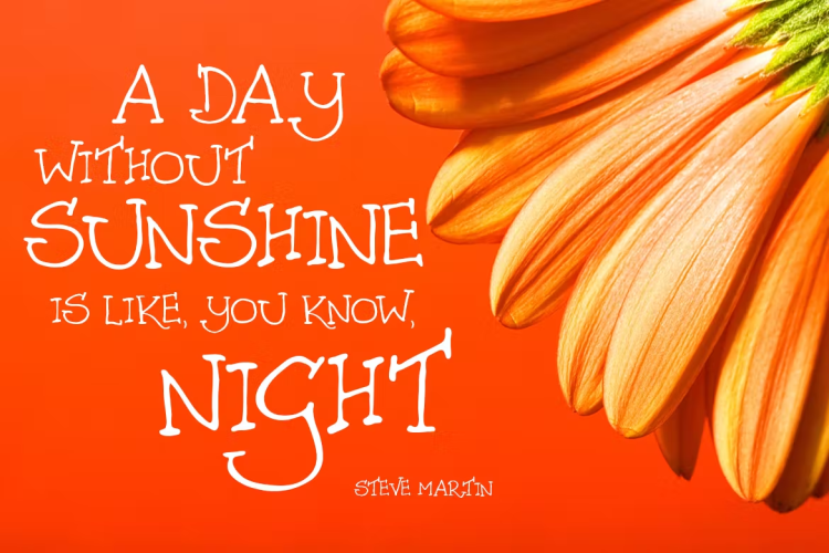 June Morning Font free download preview 2 – Serif Fonts font
