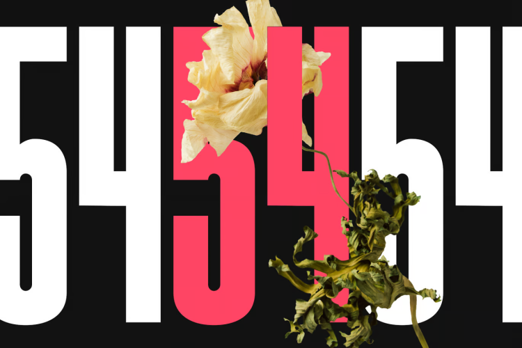 Kajiro Font free download preview 2 – Sans Serif Fonts font