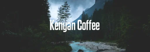Kenyan Coffee Font Family free download – Sans Serif Fonts font preview image for Windows and Mac