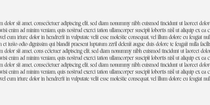 Komrile Font Family free download preview 2 – Serif Fonts font