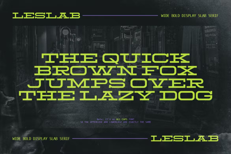 Leslab Font free download preview 1 – Serif Fonts font