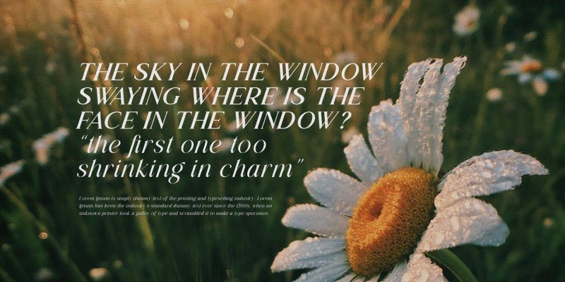 Lessa Font Family free download preview 10 – Serif Fonts font