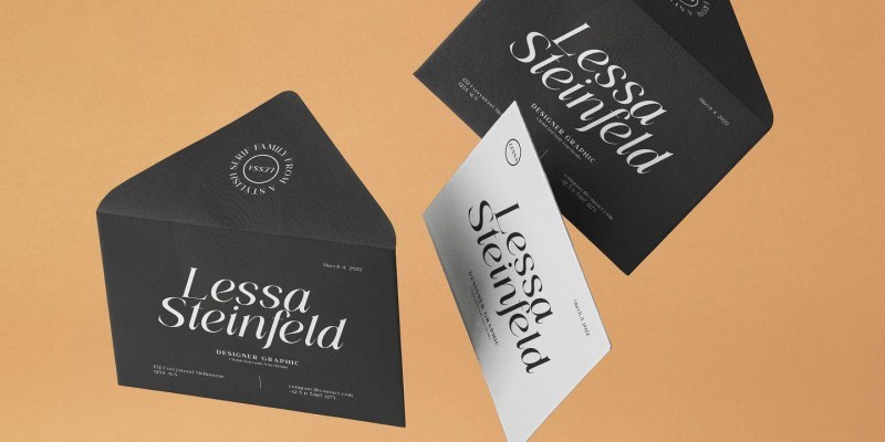 Lessa Font Family free download preview 8 – Serif Fonts font