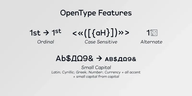 Lonie Font Family free download preview 4 – Sans Serif Fonts font
