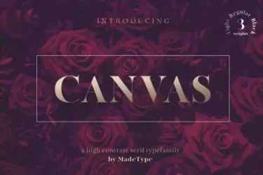 MADE Canvas Font free download – Serif Fonts preview