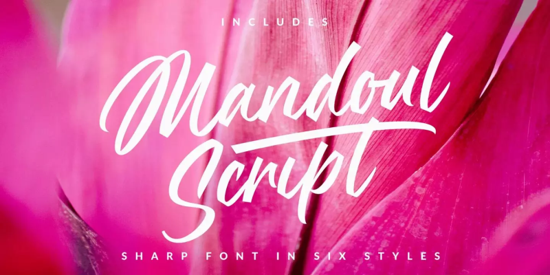 Mandoul Script Font free download preview 7 – Font Family font