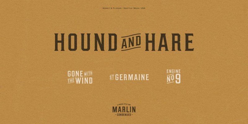 Marlin Font Family free download preview 3 – Serif Fonts font