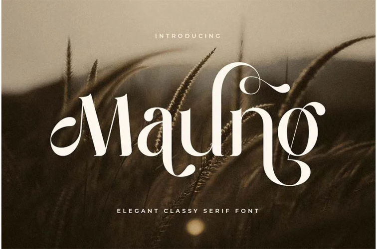 Maung Font free download preview 5 – Modern Serif Font font
