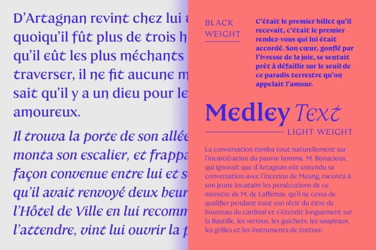 Medley Font Family free download preview 2 – Serif Fonts font