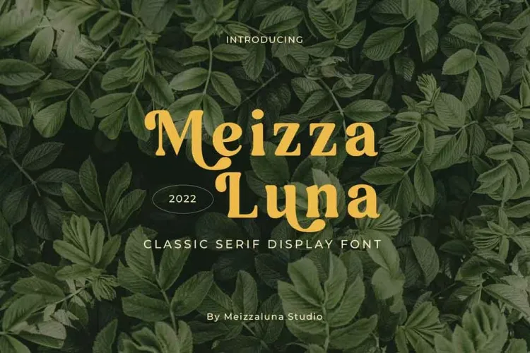 Meizzaluna Font preview 4 – Serif Fonts font sample