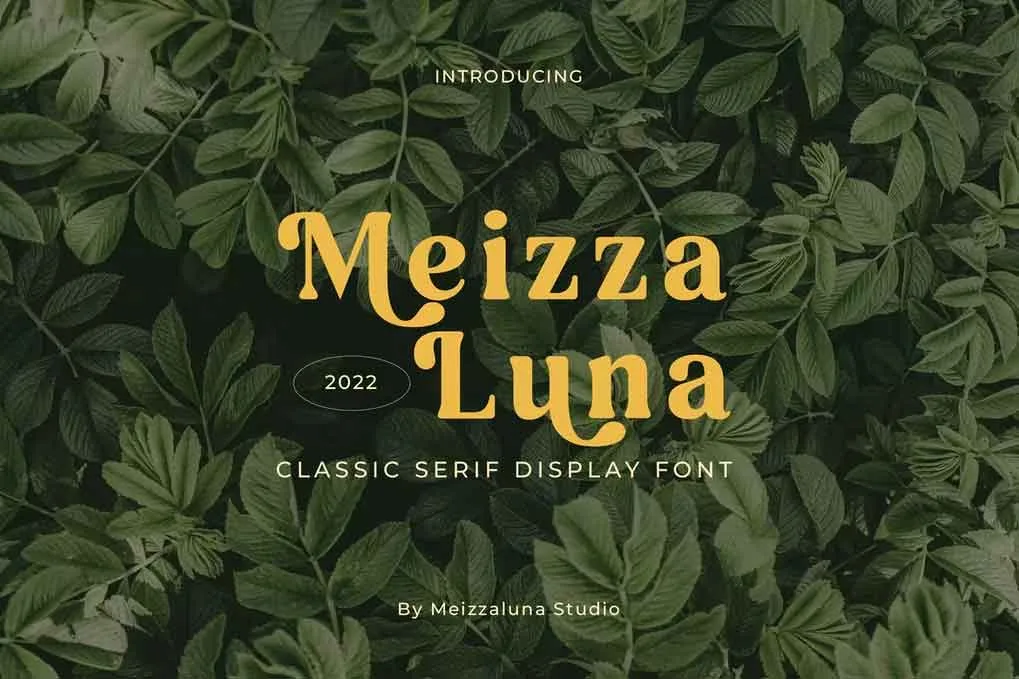 Meizzaluna Font free download – Serif Fonts font preview image for Windows and Mac