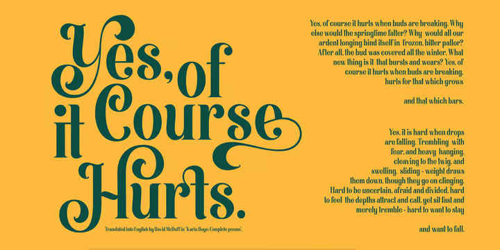 Morthern Font Family free download preview 3 – Script And Handwritten font