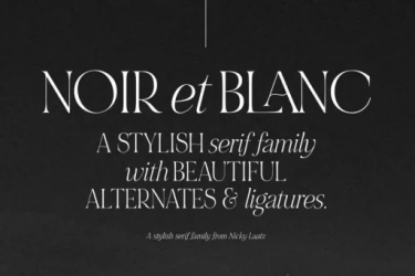 NOIR et BLANC Font free download – Bold font preview