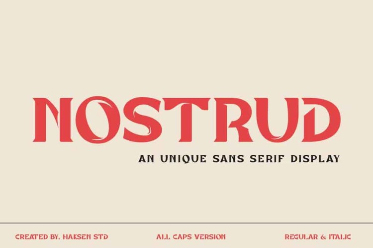 NOSTRUD Font free download preview 4 – Sans Serif Fonts font