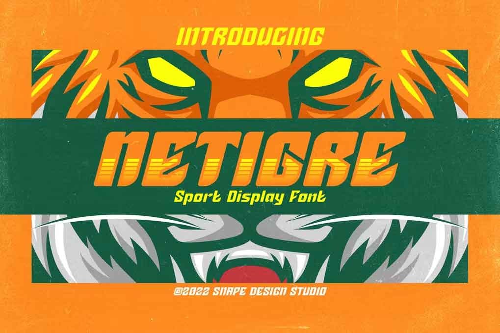 Netigre Sport Font free download – Decorative Fonts font preview image for Windows and Mac