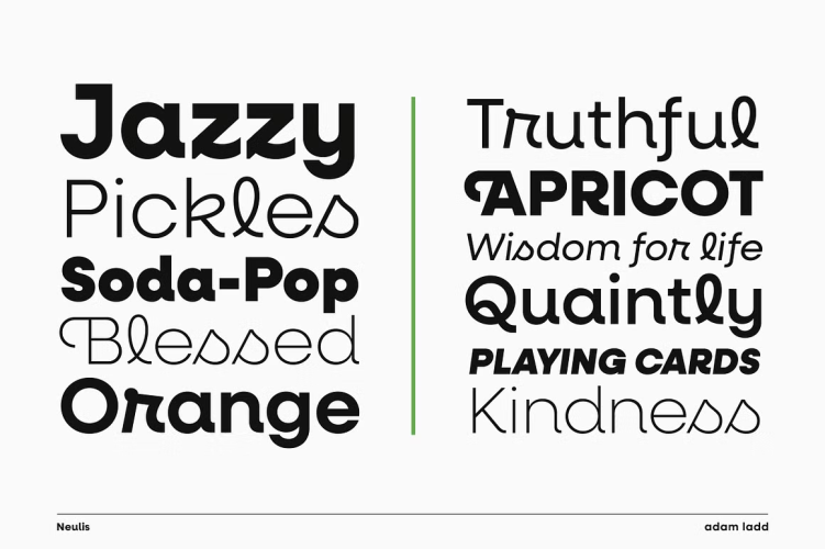 Neulis Font free download preview 6 – Sans Serif Fonts font