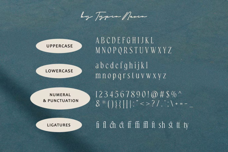 Newstalgic Font free download preview 2 – Serif Fonts font