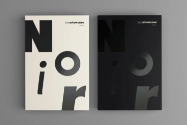 Noir Pro Font free download – Font Family font preview
