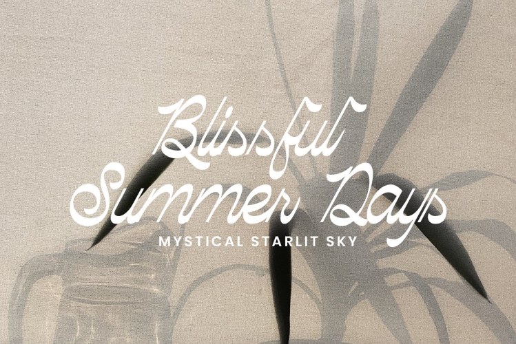 Palmhead Classy Script Font free download preview 3 – Script And Handwritten font