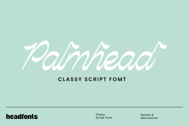 Palmhead Classy Script Font free download – Script And Handwritten font preview