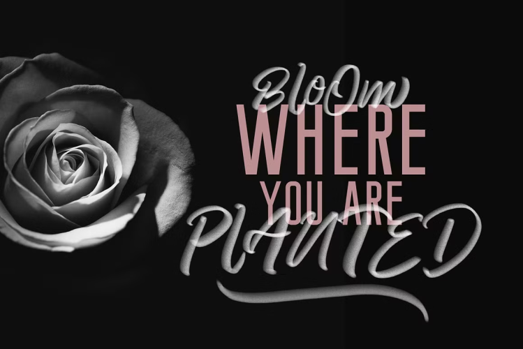 Pattaya Font free download preview 6 – Script And Handwritten font