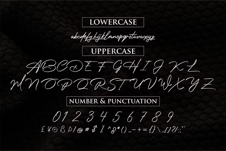 Photograph Signature Font free download preview 5 – Script And Handwritten font