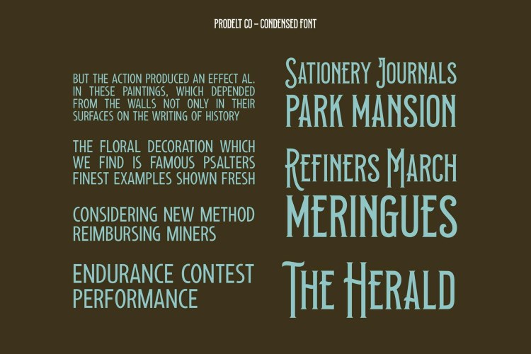 Prodelt Co Font Family free download preview 2 – Font Family font