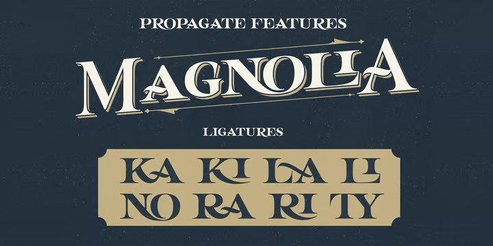 Propagate Font free download preview 2 – Display Fonts font