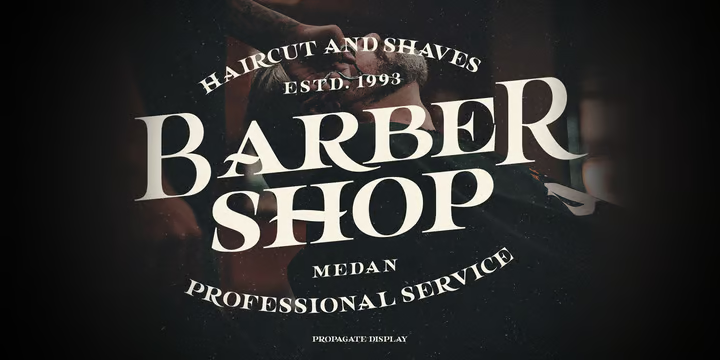 Propagate Font free download preview 9 – Display Fonts font