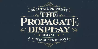 Propagate Font free download – Display font preview