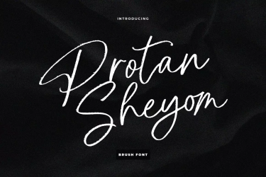 Protan Sheyom Brush Font free download – Packaging font preview