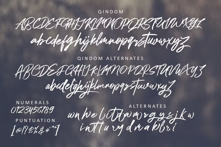 Qindom Brush Font free download preview 3 – Script And Handwritten font