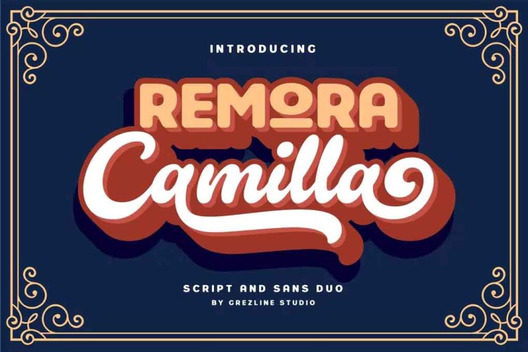 Remora Camilla Display Font free download preview 4 – Sans Serif Fonts font