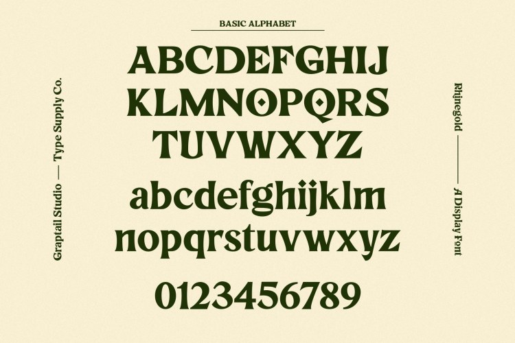 Rhinegold Font free download preview 2 – Serif Fonts font