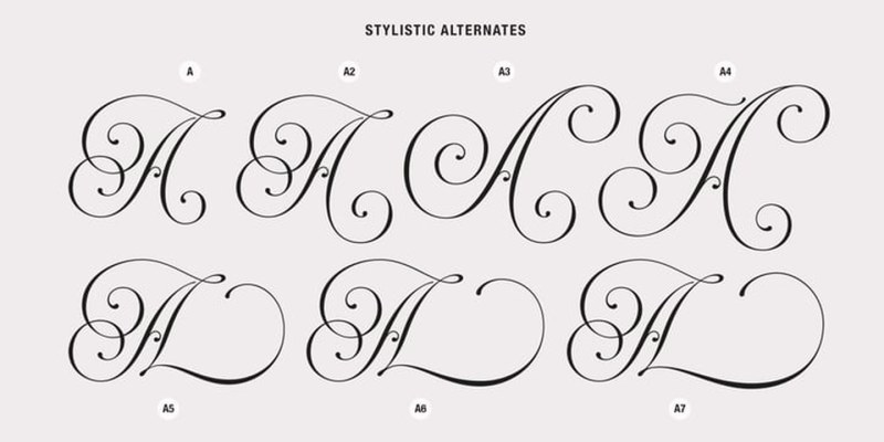 Rocksane Display Font Family free download preview 6 – Display Fonts font