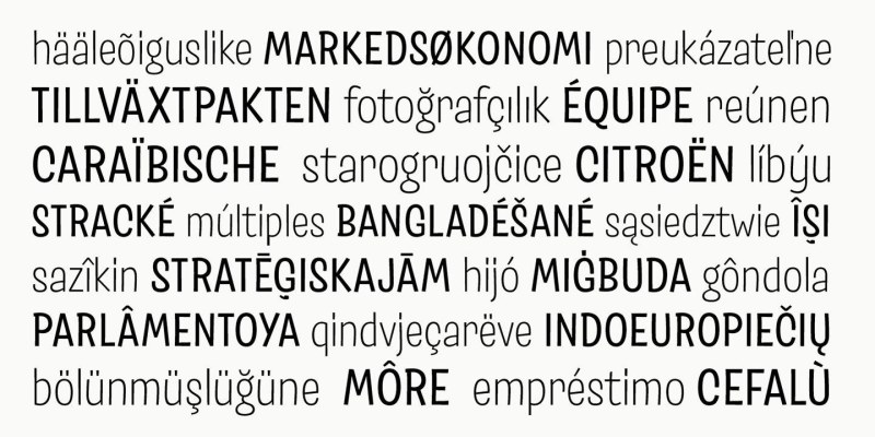 Salad Font Family free download preview 9 – Handwriting Fonts font