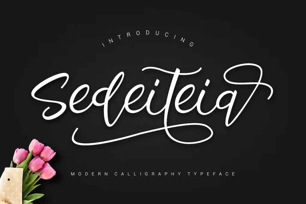 Sedeiteia Font free download – Script And Handwritten font preview image for Windows and Mac